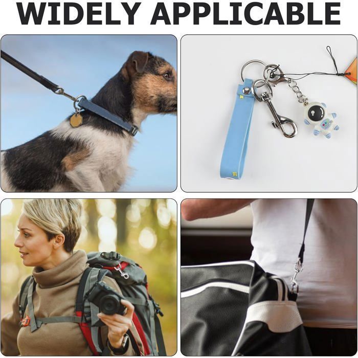 Xinlon 6 Pièces Mousqueton Porte Clé, Porte Clé Mousqueton, Fermoirs Mousquetons Pivotants En Métal, Porte Clef Pour Laisses De Chien Collier De Chien Sacs DIY Animal Domestique Chaînes Décorations