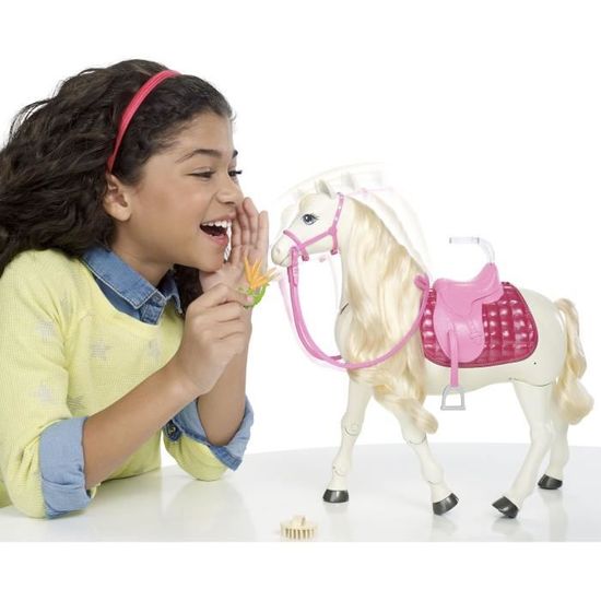 BARBIE Dreamhorse Cheval De R ve Poup e Barbie OFFERTE