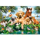 Puzzle 500 pièces - CASTORLAND - Copains d'été - Paysage et nature - Adulte - 500-750 pièces
