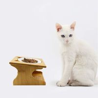 Petsoigné Gamelle pour Chat Haute Bol pour Chat Incliné - Support en Bois - Céramique