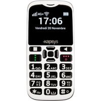 MiniVision2 Téléphone Portable Vocalisé pour Déficients Visuels