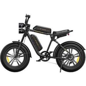 VÉLO ASSISTANCE ÉLEC Velo Electrique ENGWE M20 autonomie 150km tout suspendu 20 pouces fat bike de ville VTT draisienne electrique 48V13Ah*2 Noir