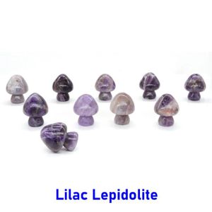 PIERRE VENDUE SEULE PIERRE VENDUE SEULE,Lilac Lepidolite--Figurine de 