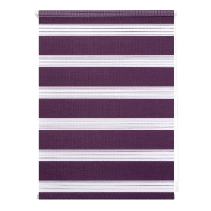 Store enrouleur double Klemmfix, sans perçage, mûre, 90 cm x 220 cm