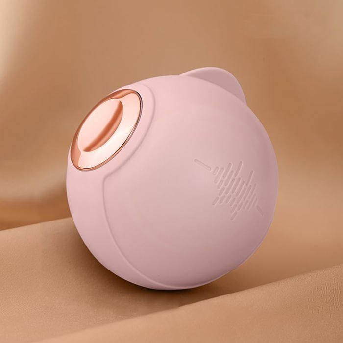 Rouleau Anti-Peluches En Gel Lavable Darryy - Réutilisable Pour Vêtements, Canapés Et Tapis