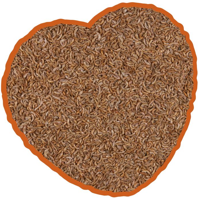 Meilleurs prix pour Nourriture pour tortues gammares Duvoplus - 1 L