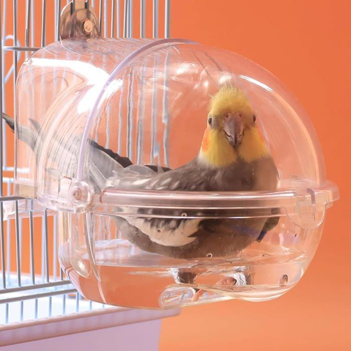 Accessoire De Cage À Oiseaux Baignoire Pour Oiseaux Baignoire À Oiseaux Pour Cage Boîte De Douche Transparente Pour Perroquet Baig