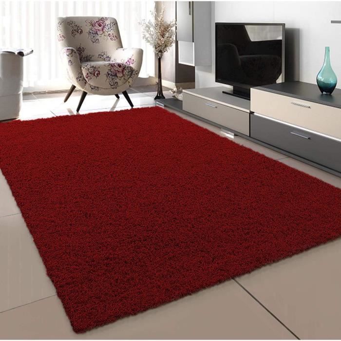 Tapis De Sol En Laine Rouge Fait Main - Taille 4x6 Pieds (1.2x1.8m) - Noué à La Main En Inde - Style Oriental Médaillon - Neuf Avec étiquettes