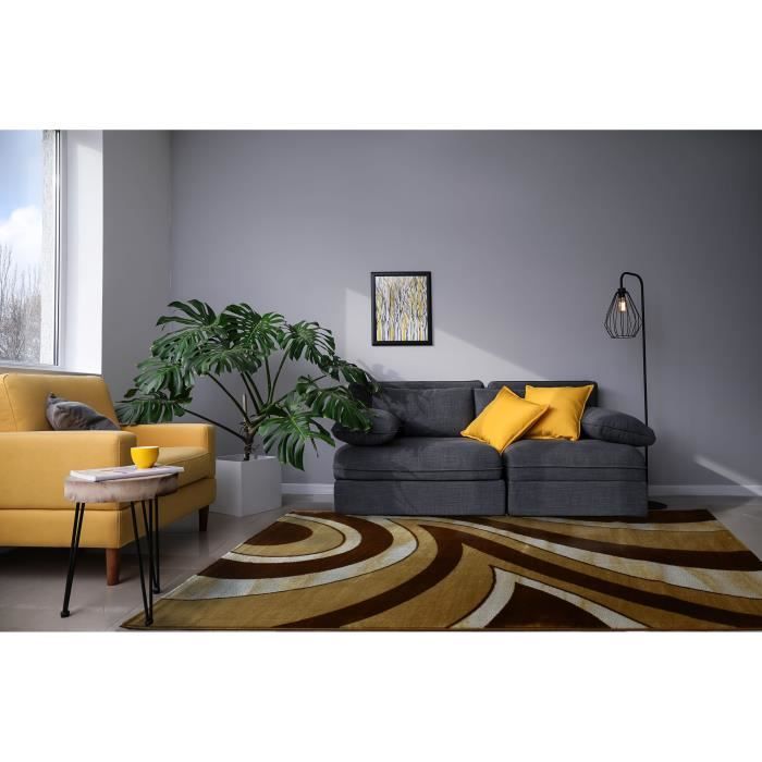 Tapis De Salon Beige Achat Vente Tapis De Salon Beige Pas Cher