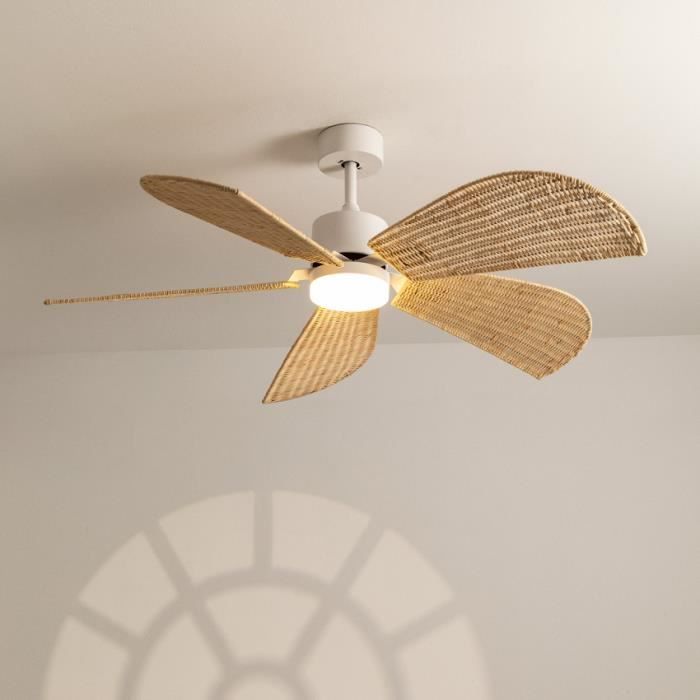 Ventilateur de plafond - Create - WIND RATTAN - Silencieux - 40W - Ø132cm - Create