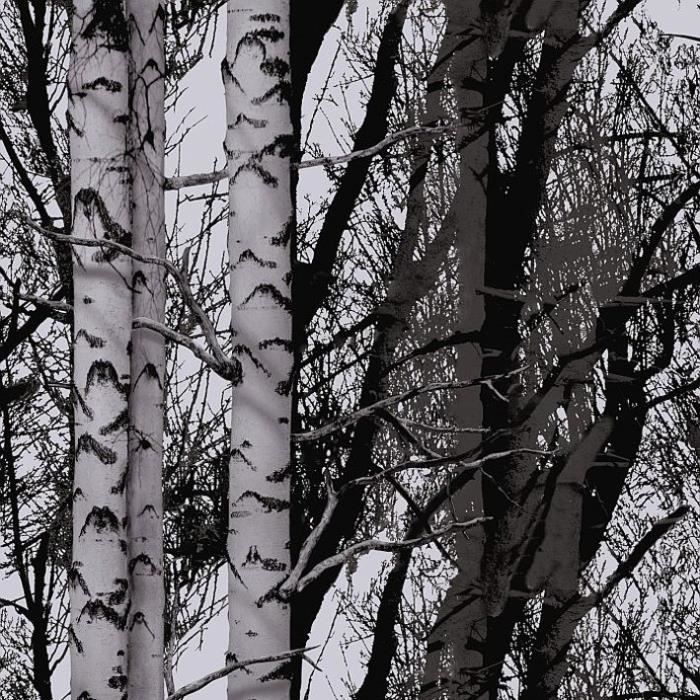 D-C-FIX Film rouleau static Premium Wood - 15 m x 67,5 cm