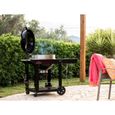 Barbecue à charbon Napoleon Kettle Pro 57 cm sur chariot + Lot de 2 paniers à charbon-2