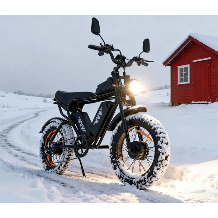 Vélo électrique Q20 Adulte – Moteur 48V 15Ah, Pneus 20″ X 4.0 Tout-terrain, Double Suspension, Freins à Disque
