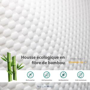 Oreiller Ergonomique Mémoire De Forme Aloe Vera - 80x35x10 Cm - Avec 2 Taies Bambou - Soutien Cervical