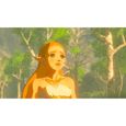 The Legend of Zelda: Breath of the Wild • Code de téléchargement pour Nintendo Switch-7