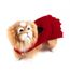 Costume De Noel Vetements Pour Chiens Chaton Chats Animaux De Compagnie Taille L Rouge Achat Vente Deguisement Costume De Noel Vetements Cdiscount