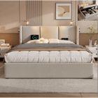 SUNFECILI lit coffre 160 x 200 cm,lit double,lit adulte,lit à levier hydraulique,avec chargement USB, avec liseuse,lin,beige