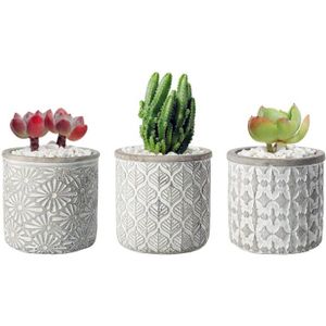 Petit Pot Conteneur Jardinni/ère pour Fleur Plante Herbe Cadeau pour Mariage Noel Anniversaire T4U 7.5CM Pot de Succulent Cactus en C/éramique avex Plateau en Bamboo Lot de 6
