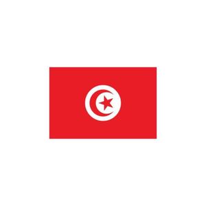 Vinyle autocollant autocollant Tunisie Tunisie tunisien Shield 100/ mm 10,2/ cm