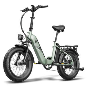 VÉLO ASSISTANCE ÉLEC Vélo Électrique avec double batterie - Fafrees FF2