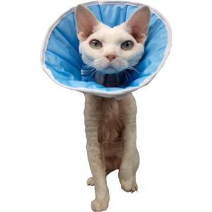 Collerette Pour Chat Cdiscount