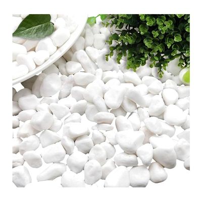 Relaxdays Graviers Décoratifs Blanc En Marbre – 5 Kg, 5-15 Mm – Idéal Pour Jardin, Pots, Tombes & Décoration Mariage