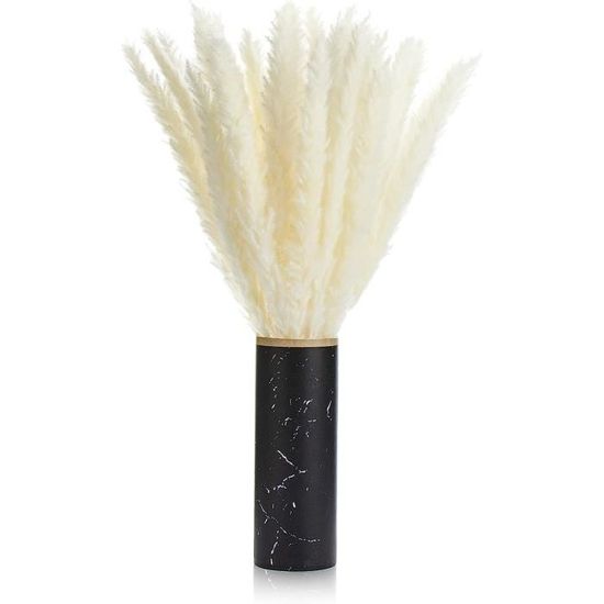 Hearkey Lot 30 Herbes De La Pampa Séchées 45cm Blanches - Fleurs Séchées Naturelles Pour Décoration Intérieure Et Mariage