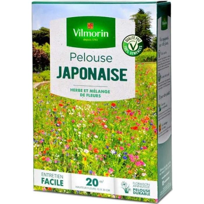 Pelouse fleurie japonaise, gazon et mélange de fleurs. 20 m²
