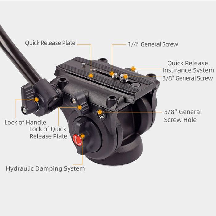 Cikonielf Tête De Base Panoramique Pince à Tête De Trépied à Base Panoramique En Aluminium à 360