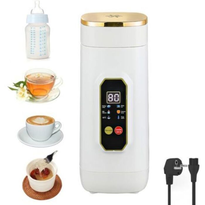 Bouilloire Électrique Portable 450ml - LON® - Mini Bouilloire Voyage - 6 Températures LED - Double Isolation