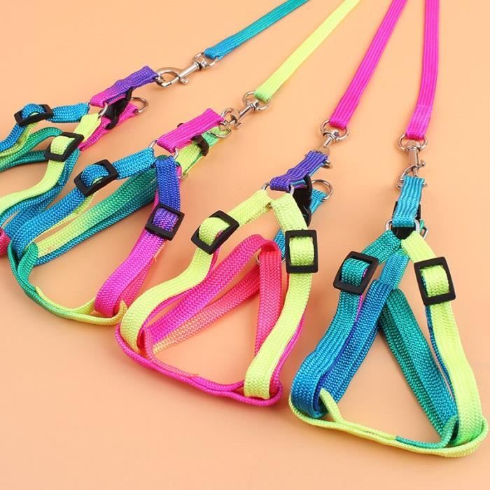 Colorful Rainbow Pet Dog Collar Harness Leash Soft Walking Harness Lead