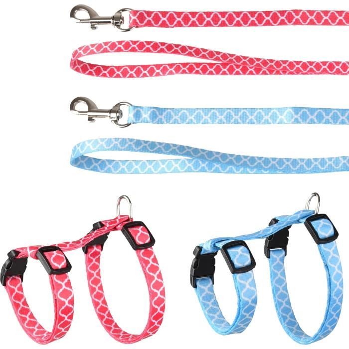 Harnais Anti-fuite Pour Chat Ou Petit Chien – Taille S (25-41cm) Et M (27-43cm) – Polyester Doux Réglable – Avec Laisse – Vert