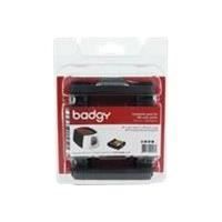 EVOLIS - Pack consommables Badgy 100 et 200 : 100 cartes de 076mm + 1 ruban 100 impression couleur YMCKO