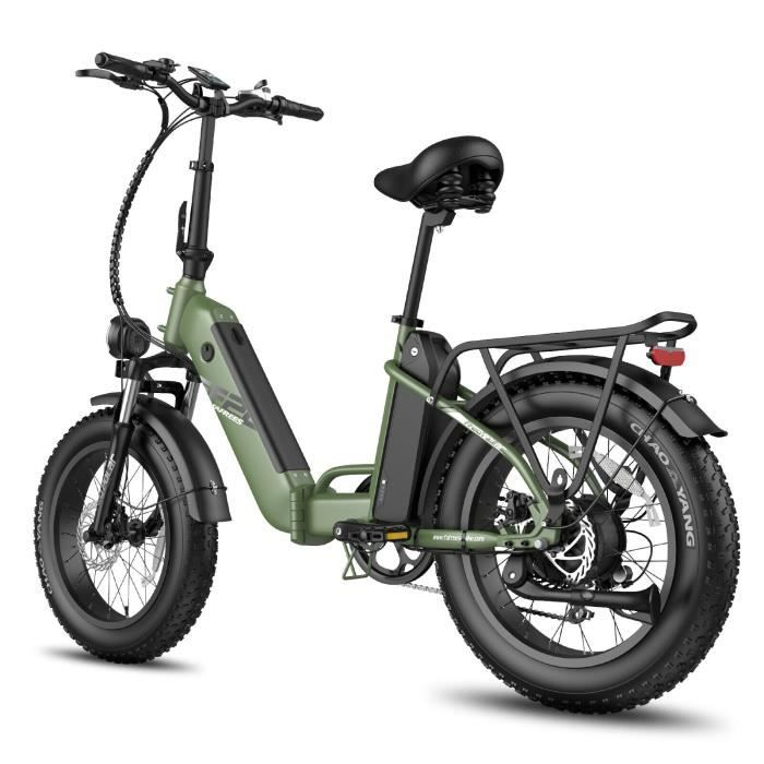 Vélo Électrique avec double batterie - Fafrees FF20 Polar Fat Bike- 48V 20.8Ah Portée maximale 160 km - 20*4.0 Gros Pneus -vert