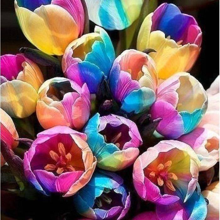 Belle Photo De Fleurs لم يسبق له مثيل الصور Tier3 Xyz