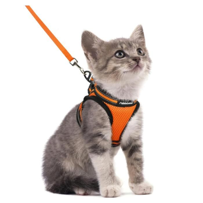 Meilleurs prix pour Rabbitgoo Harnais Chat Harnais pour chaton/petit chien Harnais Respirant et Bande Réfléchissante réglables -Taille S -Orange