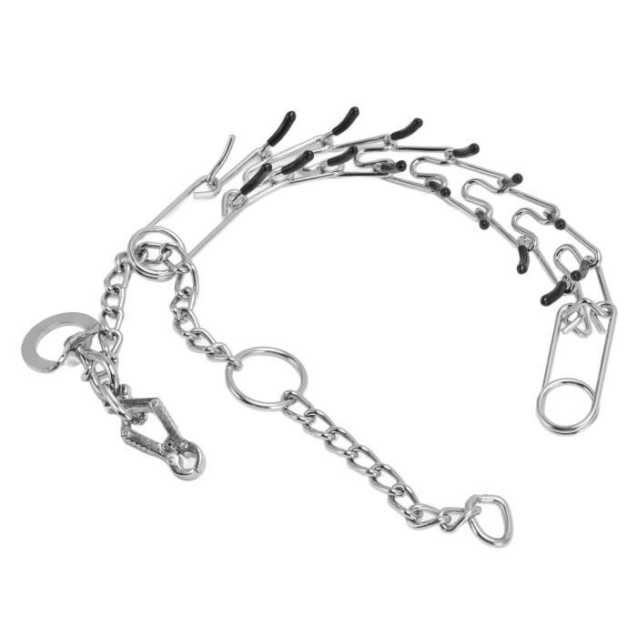 Meilleurs prix pour Collier de dressage - SALUTUYA - Acier inoxydable - Résistant à l'eau - Boucle à dégagement rapide - Confortable