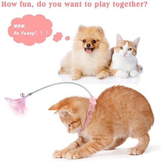 Jouet interactif pour chat windmill, jouet à plumes pour chats, bâton de  plume taquin, jouets amusants pour chatons, balle de plum - Cdiscount