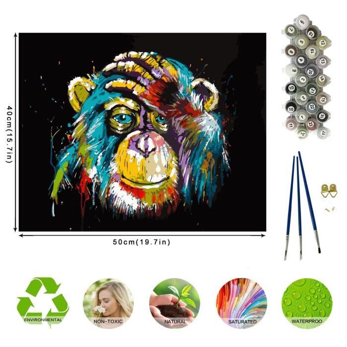 Peinture Par Numéro Adulte Diy Acrylique Peinture Kit Pour Adultes Et