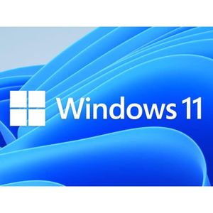 SYSTÈME D'EXPLOITATION Windows 11 Pro Professionnel 32/64.
