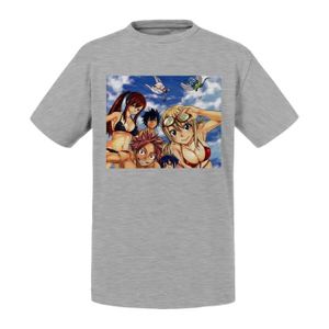 T-SHIRT T-shirt Enfant Gris Fairy Tail Manga Natsu Erza Gr