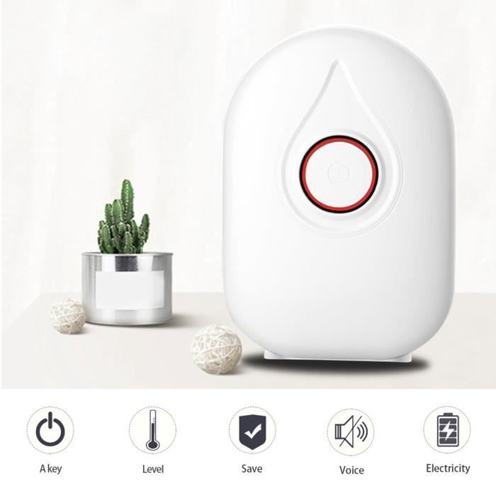 Mini Déshumidificateur Ménage Petit Chambre Machine Déshumidification Rouge 100-240V(Japon )-CWU
