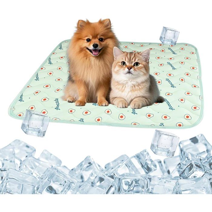 Tapis rafraîchissant chien/chat 60×50 cm motif avocat coussin frais cartoon effet fraîcheur été pour animaux