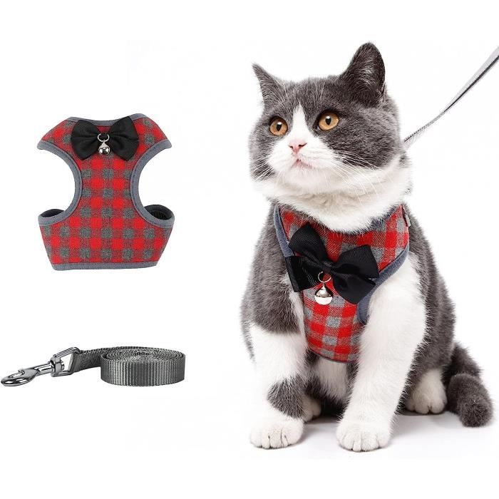 Harnais new arrivals gilet chat