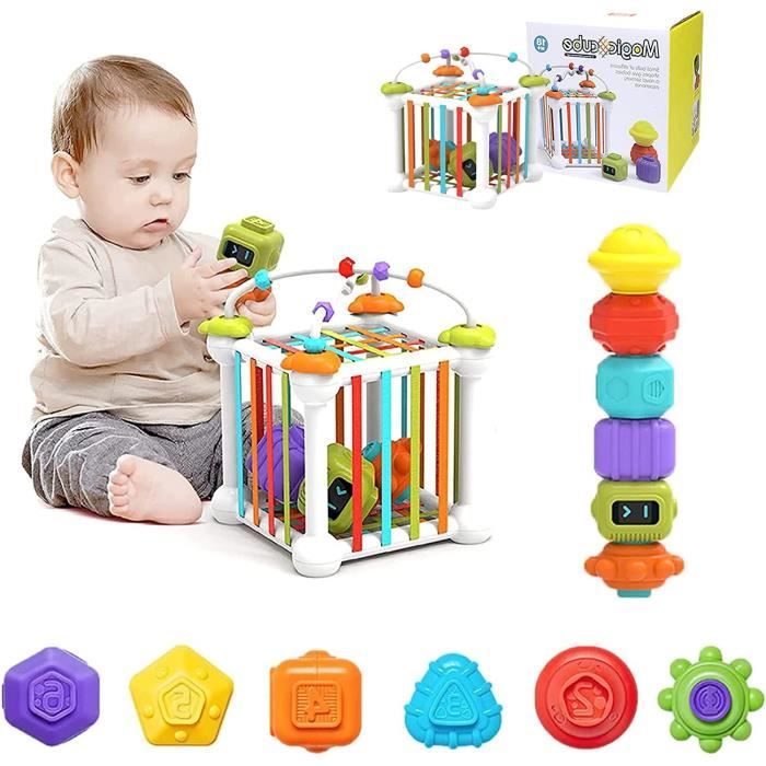 Jeux Montessori Cubes de Motricité STEM Jouets Éducatifs de Tri des Formes avec 6 Formes Multisensorielles pour Les Enfant