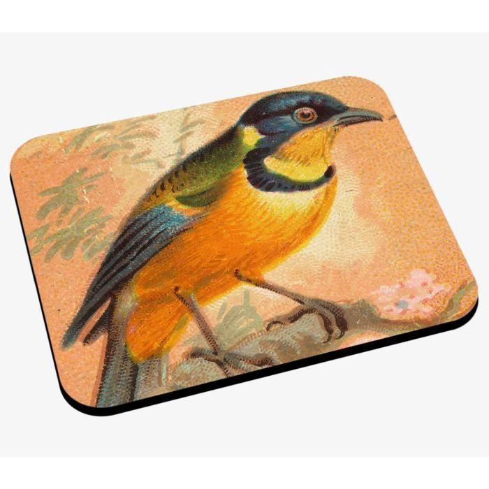 Tapis De Souris Torquata Dessin Petit Oiseau Tangara Jaune Et Bleu