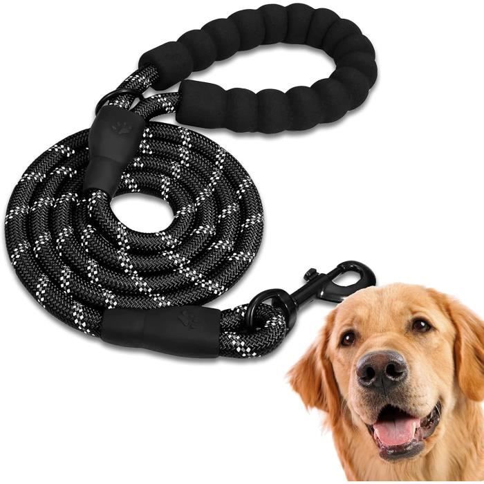 Meilleurs prix pour Laisse de Chien Forte en Nylon Rond avec Double Poignée Confortable - FOOTIER - Noir