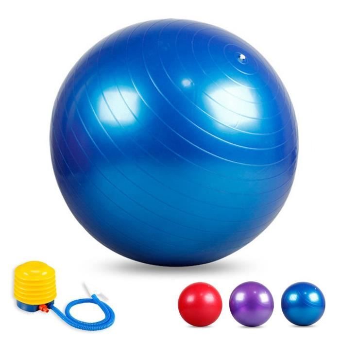Rouge//Bleu//Pourpre//Rose//Argent Ballon de Gymnastique Ballon de Yoga avec Pompe 45cm//55cm//65cm//75cm//85cm//95cm SENDILI Ballon de Gym