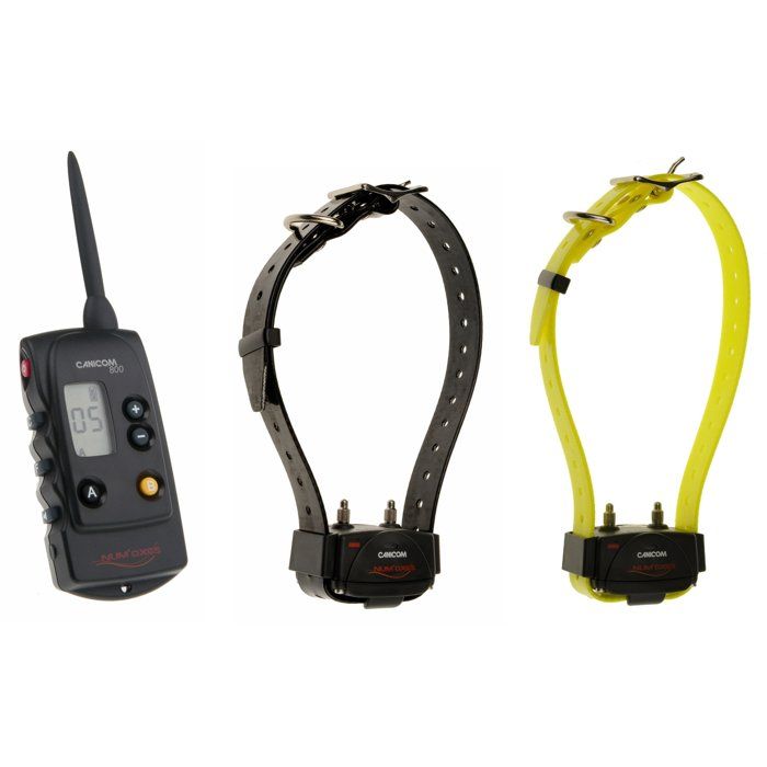 Pack de dressage - NUMAXES - CANICOM 800 - Pour 2 chiens - Noir / Jaune