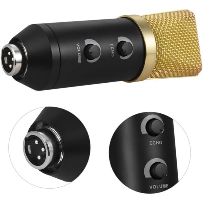 Microphone Mini Pro Microphone Microphone Professionnel Micro Sans Fil ...